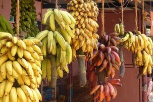 Hay 2000 variedades de babanas, explica el autor (Foto: Unplash)