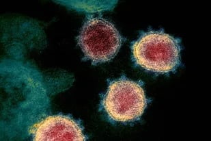 La variante británica del coronavirus parece estar experimentando cambios genéticos que los científicos siguen de cerca