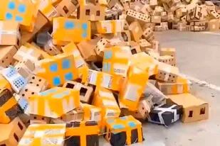 Los animales habían sido empaquetados en cajas de cartón para ser enviados por correo