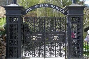 El Jardín de los venenos forma parte de los parques que rodean al castillo de Alnwick, en el noreste de Inglaterra, y conta de unas 100 especies de plantas tóxicas