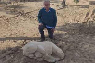 Un agricultor, que araba la tierra de su campo, se llevó una gran sorpresa cuando encontró una pieza arqueológica de 2500 años de antigüedad semienterrada en su finca de Córdoba, España