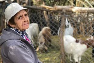 Juana Tejada, la esposa de Mallea, tiene 75 años y es la encargada de los animales.