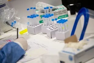 Coronavirus en Argentina: casos en Pilagás, Formosa al 1 de diciembre