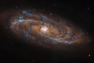 La última imagen capturada por el telescopio espacial Hubble muestra miles de puntos azules brillantes que son estrellas nuevas.