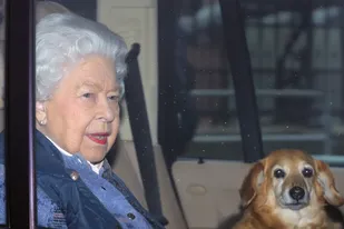 La reina Isabel II con uno de sus amados dorgis (cruza de dachshund y corgi)