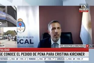 Luciani, cuando formalizó en agosto el pedido de una condena de 12 años de prisión e inhabilitación perpetua para Cristina Kirchner