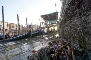 Venecia se encuentra en una situación crítica, con muy poca agua en sus canales (ANSA)