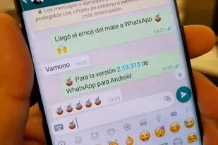 El emoji del mate apareció primero en la versión beta, y ahora está disponible para todos los usuarios de Whatsapp