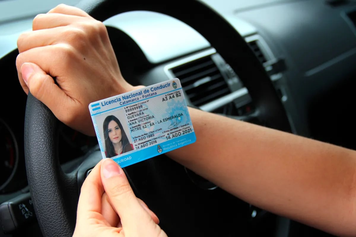 Licencia de conducir: quiénes deben reimprimir el registro este año y qué pasa con los plazos