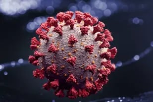 Un atisbo de esperanza para el fin del coronavirus como pandemia llegaría en 2022, según la OMS