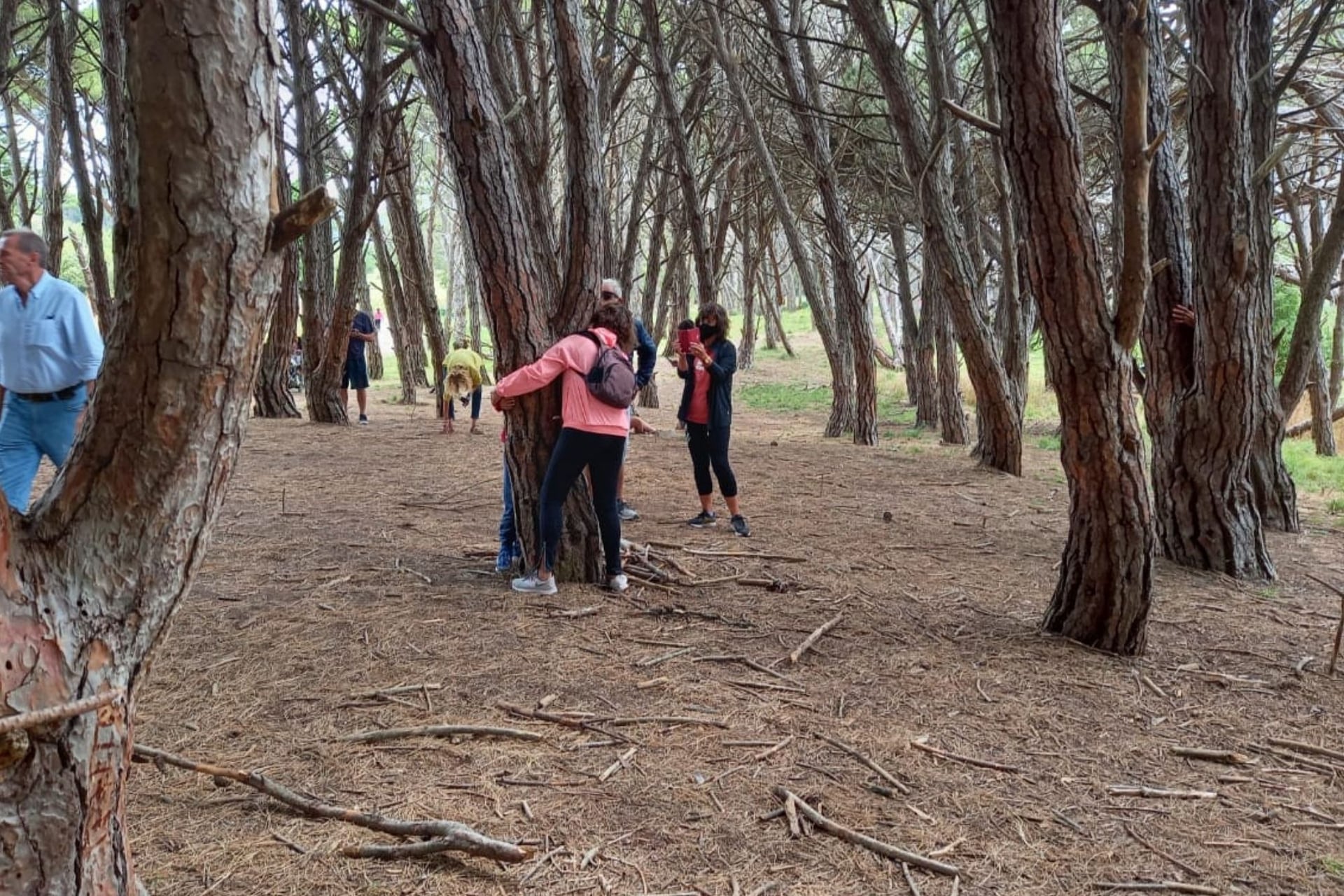 Abrazos a los árboles en el Bosque Energético de Miramar, una actividad muy común entre los visitantes.