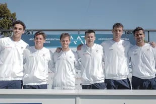 Cerúndolo, Báez, Schwartzman, Coria, Zeballos y González, el equipo argentino para la etapa final de grupos de la Davis