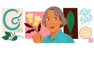 El homenaje de Google a la botánica Ynes Mexia