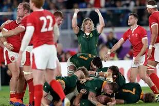 Sudáfrica llegó a la final del Mundial de Rugby tras derrotar a Gales por 19-16