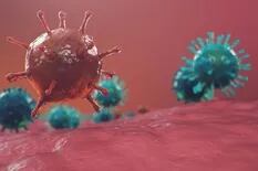 El enigma de ómicron, la variante del nuevo coronavirus que se hizo dominante y sostiene su reinado 