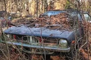 Una mujer heredó una colección de autos abandonados en el jardín de la casa de sus padres muertos