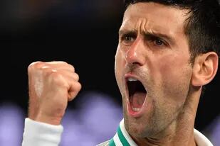 Novak Djokovic lo consiguió: ganó en los tribunales, puede quedarse en Melbourne e irá por la defensa de la copa del Abierto de Australia, que ganó en los últimos tres años.