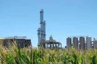 El bioetanol de maíz, clave en la industria