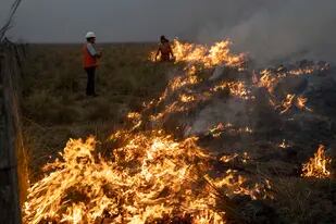 El viernes pasado el INTA Corrientes estimó en casi 800.000 las hectáreas quemadas, pero por la dinámica del fuego ya podrían superarse las 900.000 (AP/Rodrigo Abd)