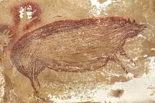 La pintura más antigua conocida en el arte prehistórico, que muestra a un cerdo verrugoso, tiene al menos 45.500 años de antigüedad