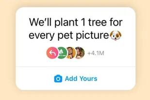 La iniciativa de plantatree.co en Instagram