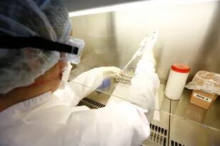 Por el avance del nuevo coronavirus, se ampliará la red de laboratorios hasta llegar a los 51