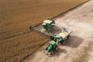 Con la cosecha argentina casi terminada, la caída de los precios de la soja redujo el volumen de negocios