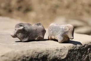 Las figuras de arcilla fueron encontradas en un asentamiento de hace 3500 años ubicado al sur de Polonia