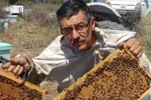 Son apicultores y dicen que se funden por un explosivo combo