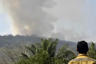 Incendio forestal en Santa Cruz, Bolivia