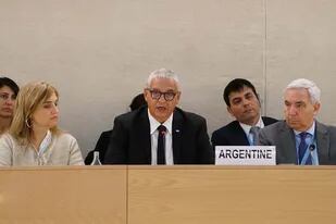 Horacio Pietragalla, secretario de Derechos Humanos, en la presentación ante la ONU