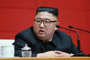 Para el líder de Corea del Norte, Kim Jong-un, tener un perro como mascota es un símbolo de "decadencia capitalista"; según el diario surcoreano Chosun Ilbo, los dueños de los perros temen que sean utilizados para resolver las escasez de alimentos