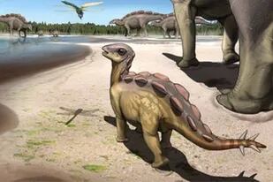 Recreación del estegosaurio del tamaño de un gato, cuya huella fue encontrada en China