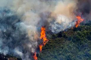 Un incendio forestal arde cerca de Alcublas, en el este de España, el 18 de agosto del 2022.  (AP Foto/Alberto Saiz)