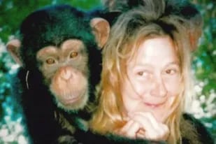 La tragedia de Charla la mujer a la un chimpancé le arrancó la cara - LA