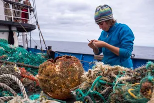 Los investigadores colaboraron con el Instituto Ocean Voyages para recolectar los residuos del océano