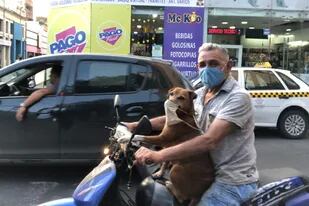 El perro con barbijo y en moto por el centro de Tucumán que se volvió viral (Twitter)