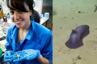 Una científica mexicana ayuda a revelar las increíbles criaturas del fondo del océano.