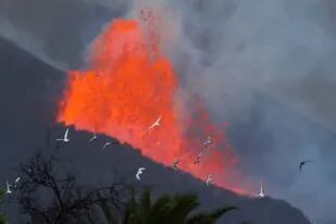 Estudiar lo sucedido en La Palma puede ayudar a reaccionar en futuras erupciones, pero la ciencia no podrá detener estos fenómenos naturales