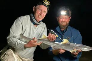 El documentalista y especialista marino Forest Galante tiene en sus manos un ejemplar de tollo dentiplano -luego lo devolverá al mar-, una especie de escualo que se consideraba desaparecida hace más de un siglo