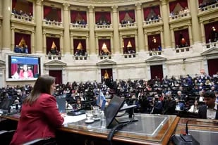 La Cámara de Diputados, con Cecilia Moreau al frente, sesionará mañana para repudiar el ataque a Cristina Kirchner