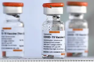 Los viales de la vacuna CoronaVac, desarrollada por la firma china Sinovac llegaron a Uruguay la semana pasada