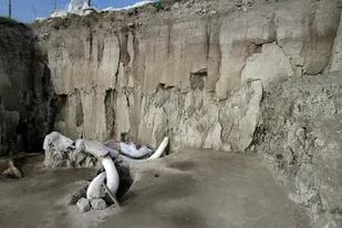 Restos óseos de un mamut en Tultepec