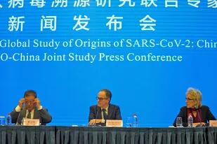 Acompañados por colegas chinos, los científicos hablaron sobre los hallazgos durante sus días en Wuhan