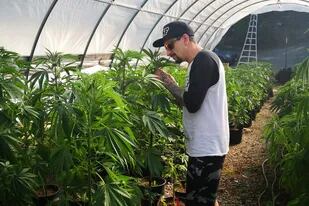 Duque en Mendocino, California, las tierras de su colega Mike Angelotti. El español recorre cultivos de todo el mundo en busca de las mejores genéticas.
