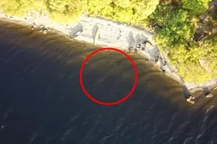 Por la forma de la figura, muchos aseguran que se trata del monstruo del lago Ness