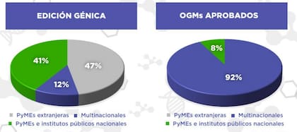 El funcionario indicó que desde la cartera quieren aprovechar las dos tecnologías: trangénesis y edición génica