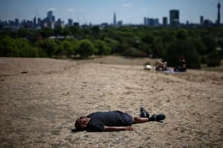 La sequía extrema que pega en Europa tiñe a Inglaterra de un marrón reseco