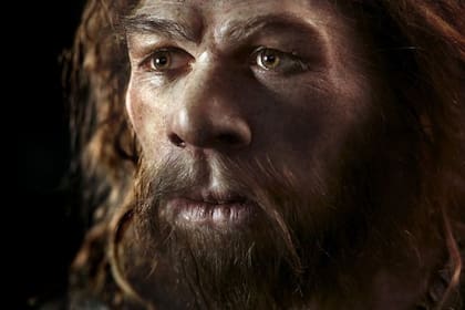 Cómo hizo el científico Svante Pääbo para reconstruir el ADN del neandertal, una tarea “aparentemente imposible”