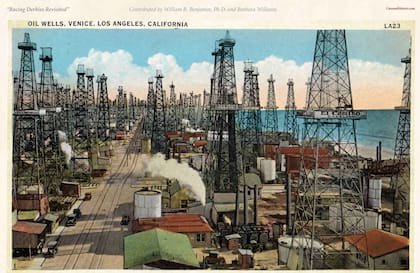 Torres de explotación de petróleo en Venice.
